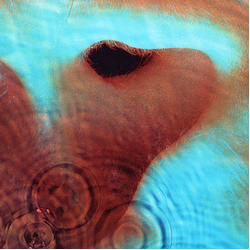Pink Floyd Meddle Vinyl LP USED