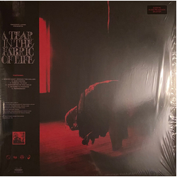 Knocked Loose A Tear In The Fabric Of Life Vinyl LP USED