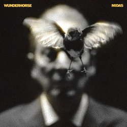 Wunderhorse Midas Vinyl LP USED
