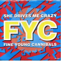 Fine Young Cannibals She Drives Me Crazy Vinyl 7" USED