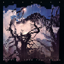 Bauhaus Burning From The Inside Vinyl LP USED