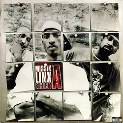 Missin' Linx Exhibit A Vinyl 12" USED