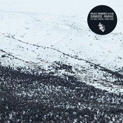 Submerse Awake Vinyl 12" USED
