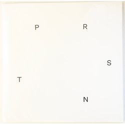 Various PRSNT Vinyl 12" USED