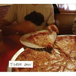 Tigers Jaw Tigers Jaw Vinyl LP USED