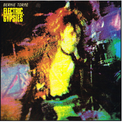 Bernie Tormé Electric Gypsies Vinyl LP USED