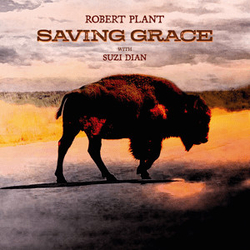 Robert Plant / Suzi Dian Saving Grace Vinyl LP USED