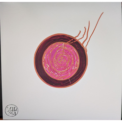 Sun Ra Sleeping Beauty Vinyl LP USED
