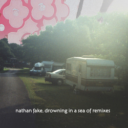 Nathan Fake Drowning In A Sea Of Remixes Vinyl 12" USED