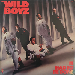 The Wild Boyz It Had To Be Done Vinyl LP USED