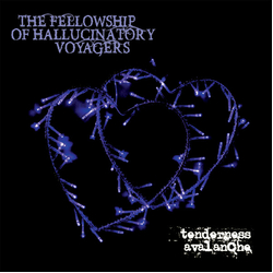 The Fellowship Of Hallucinatory Voyagers Tenderness Avalanche Vinyl LP USED