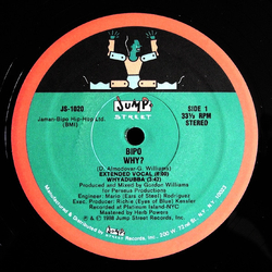 Bipo Why? Vinyl 12" USED