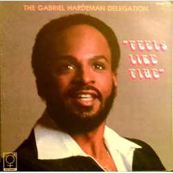 Gabriel Hardeman Delegation Feels Like Fire Vinyl LP USED