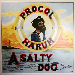 Procol Harum A Salty Dog Vinyl LP USED