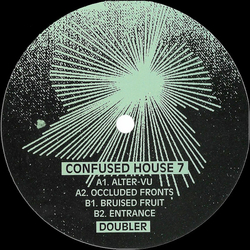 Doubler Alter-Vu Vinyl 12" USED