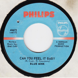 Blue Mink Can You Feel It Baby / Mary Jane Vinyl 7" USED