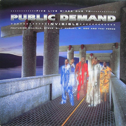 Public Demand Invisible Vinyl 12" USED