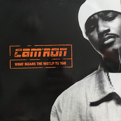 Cam'ron What Means The World To You Vinyl 12" USED