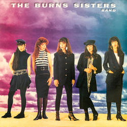 The Burns Sisters Band The Burns Sisters Band Vinyl LP USED