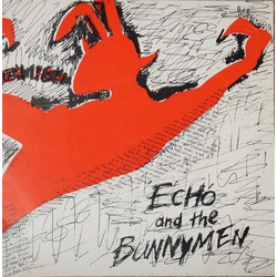 Echo & The Bunnymen The Pictures On My Wall Vinyl 7" USED