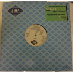 Steady B What's My Name / Don't Disturb This Groove Vinyl 12" USED