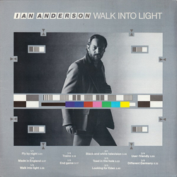 Ian Anderson Walk Into Light Vinyl LP USED
