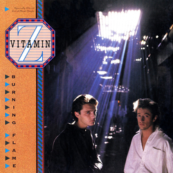 Vitamin Z Burning Flame Vinyl 12" USED