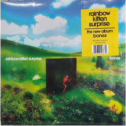 Rainbow Kitten Surprise Bones Vinyl LP USED