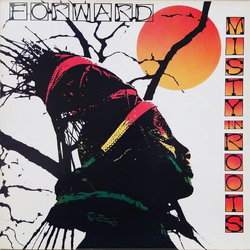 Misty In Roots Forward Vinyl LP USED
