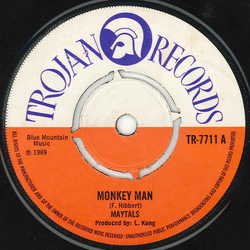 The Maytals Monkey Man Vinyl 7" USED