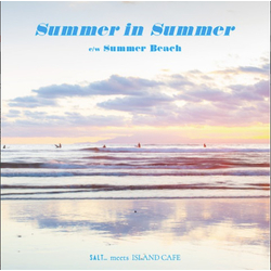 Tokimeki Records / ひかり Summer In Summer / Summer Beach Vinyl 7" USED