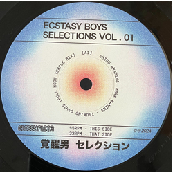 Ecstasy Boys Selections Vol. 01 Vinyl 12" USED