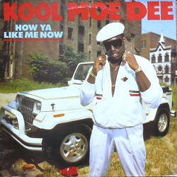 Kool Moe Dee How Ya Like Me Now Vinyl LP USED