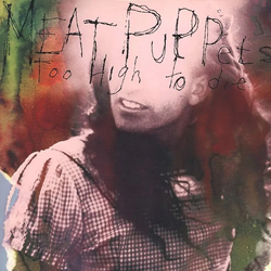 Meat Puppets Too High To Die Vinyl LP USED