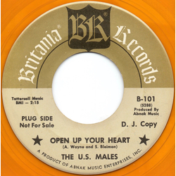 The U.S. Males Open Up Your Heart Vinyl 7" USED