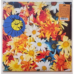 The Chambers Brothers Now! Vinyl LP USED
