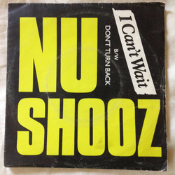 Nu Shooz I Can't Wait Vinyl 7" USED