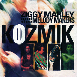 Ziggy Marley And The Melody Makers Kozmik Vinyl 7" USED