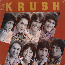 The Krush The Krush Vinyl LP USED