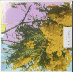 Four Tet Into Dust (Still Falling) Vinyl 12" USED