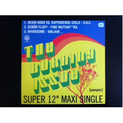 Various The Burning Issue (Sampler) Vinyl 12" USED