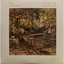 Luke Schneider For Dancing In Quiet Light Vinyl LP USED