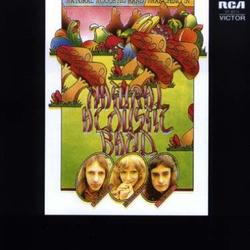 Natural Acoustic Band Branching In Vinyl LP USED