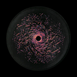 Various Time Horizon IV Vinyl 12" USED