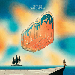 Triptides Shapeshifter Vinyl LP USED
