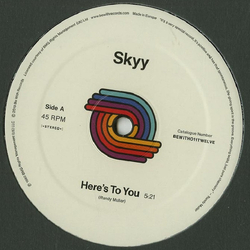 Skyy Here's To You / You Got Me Up Vinyl 12" USED