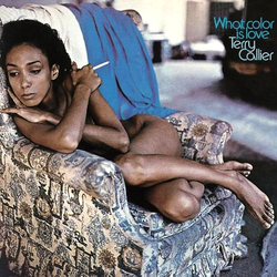 Terry Callier What Color Is Love Vinyl LP USED