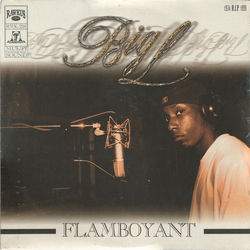 Big L Flamboyant Vinyl 12" USED