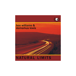 Boo Williams / Demarkus Lewis Natural Limits Vinyl 12" USED