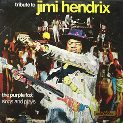The Purple Fox Tribute To Jimi Hendrix Vinyl LP USED